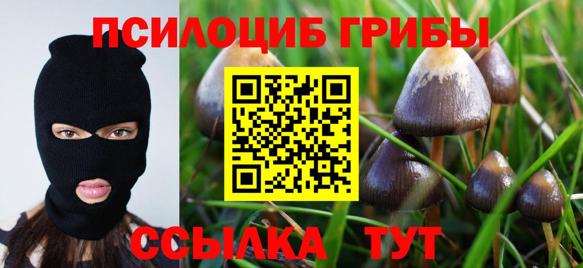 Псилоцибиновые грибы GOLDEN TEACHER  Вход с VPN  Георгиевск  Псилоцибиновые грибы прущие грибы 