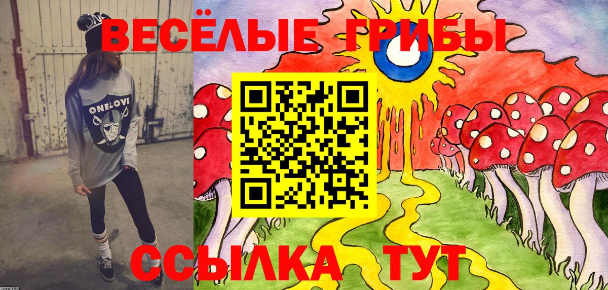 Псилоцибиновые грибы мицелий Георгиевск